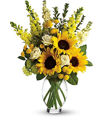 Here Comes The Sun by Teleflora from Richardson's Flowers in Medford, NJ